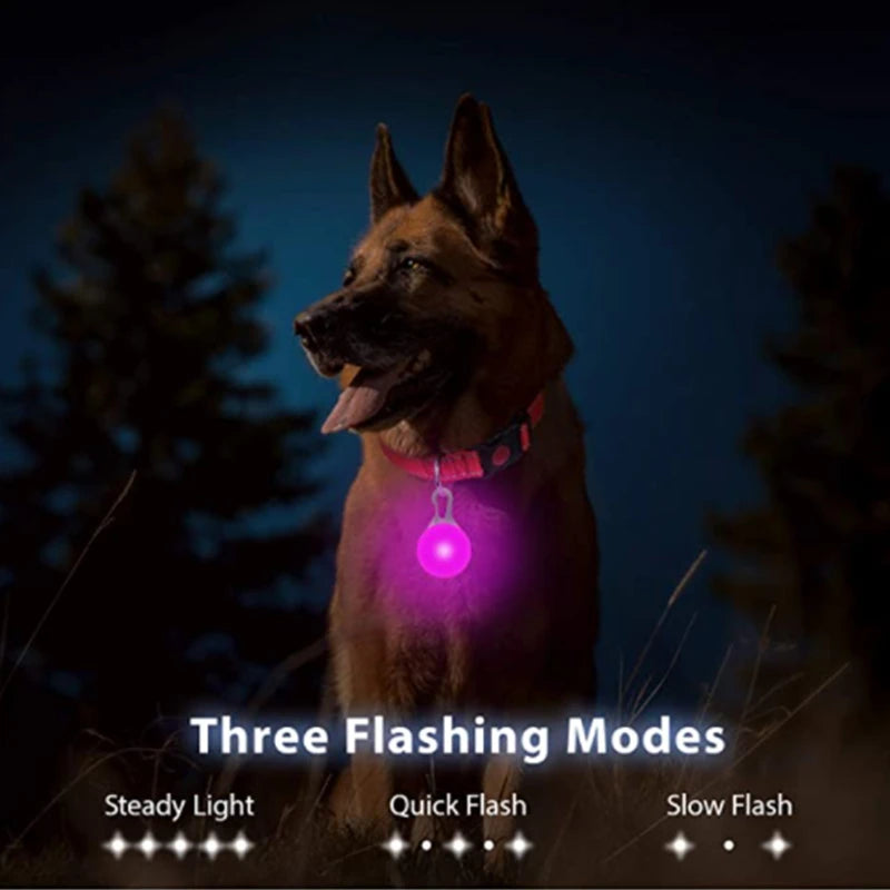 NONECN USB Charging Glowing Dog Collar With Pendant LED
