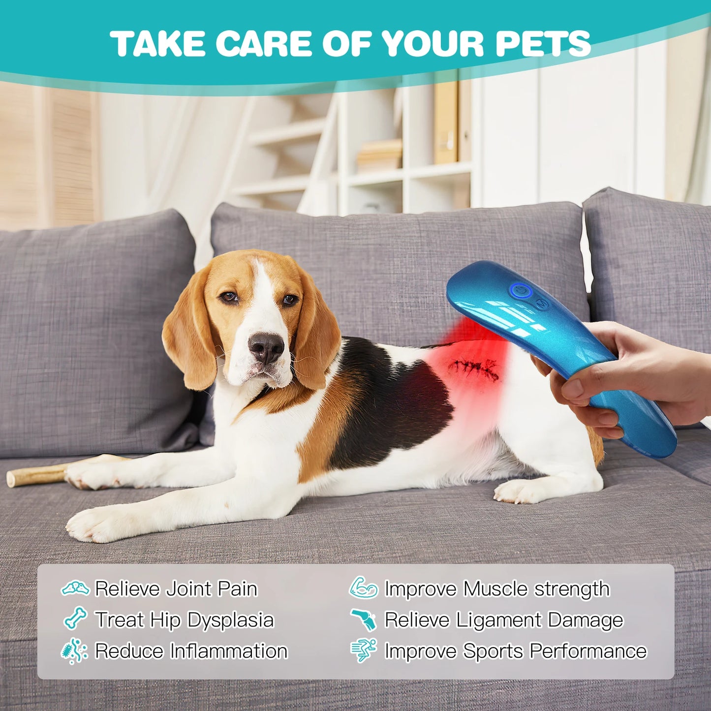 Laser Therapy for Dogs Portable Red Light Therapy Device