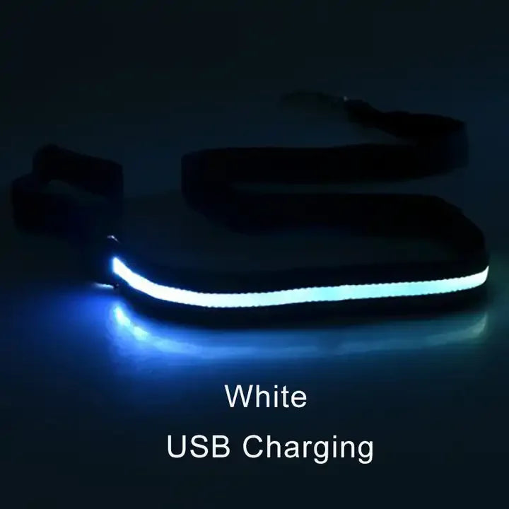 YTYINCN LED Light Up Dog Leash For Safety And Visibility