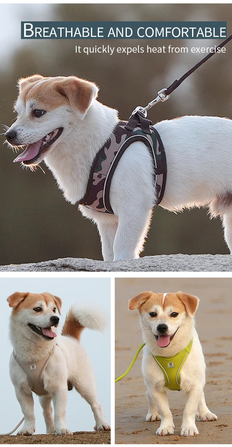 Small Combination Harness Leash Set Reflective Adjustable