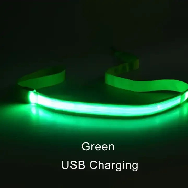 YTYINCN LED Light Up Dog Leash For Safety And Visibility