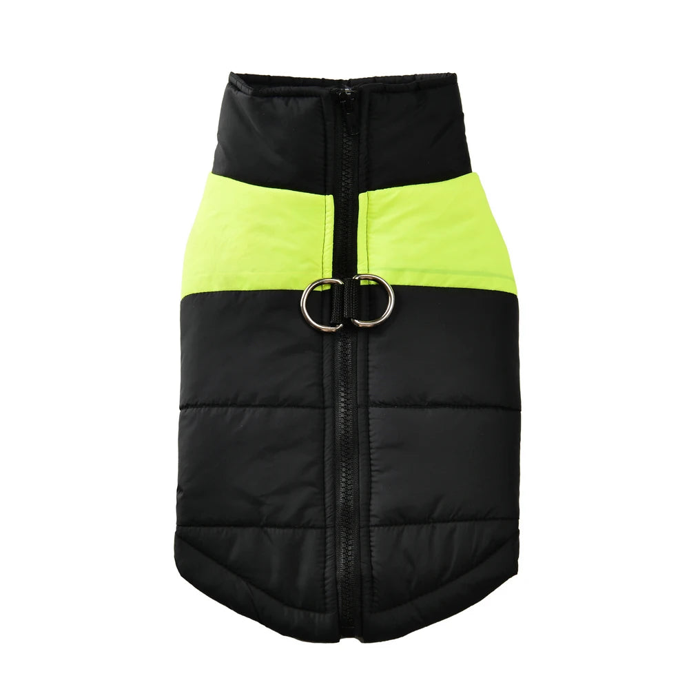 Guangdong Pet Dog Winter Jacket Windproof Waterproof Coat