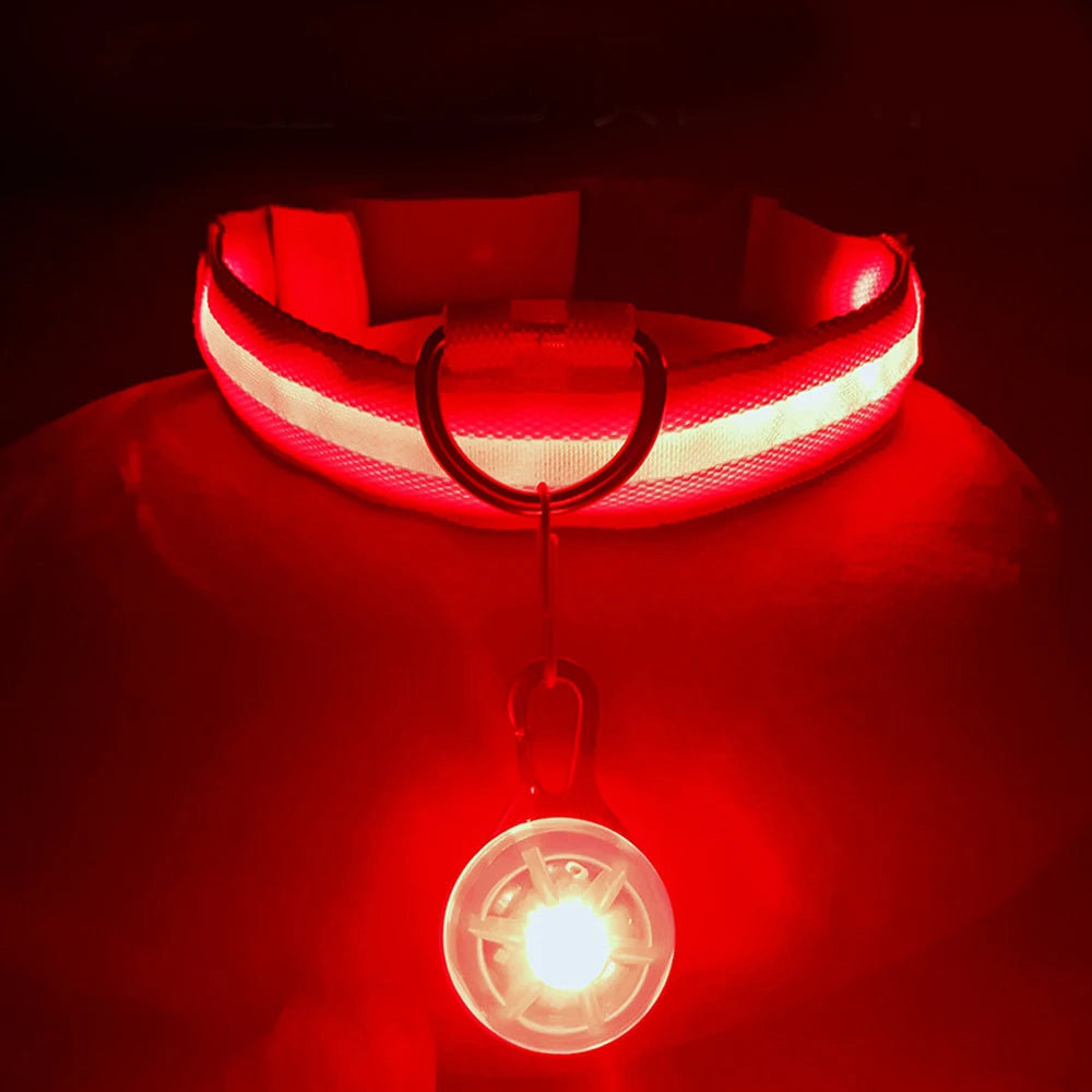 NONECN USB Charging Glowing Dog Collar With Pendant LED