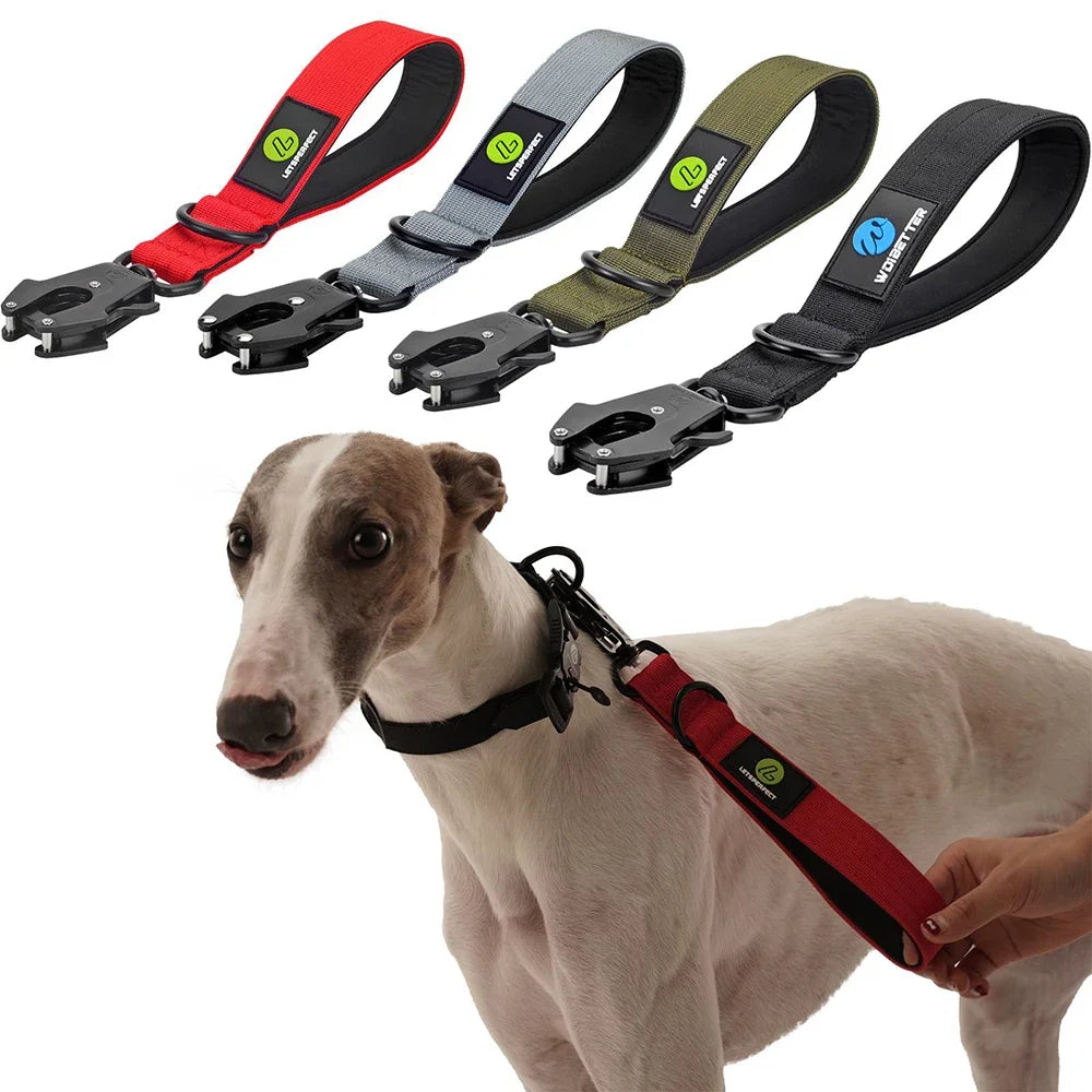 IPETPERIOD Traffic Dog Leash With Padded Handle Nylon Lead