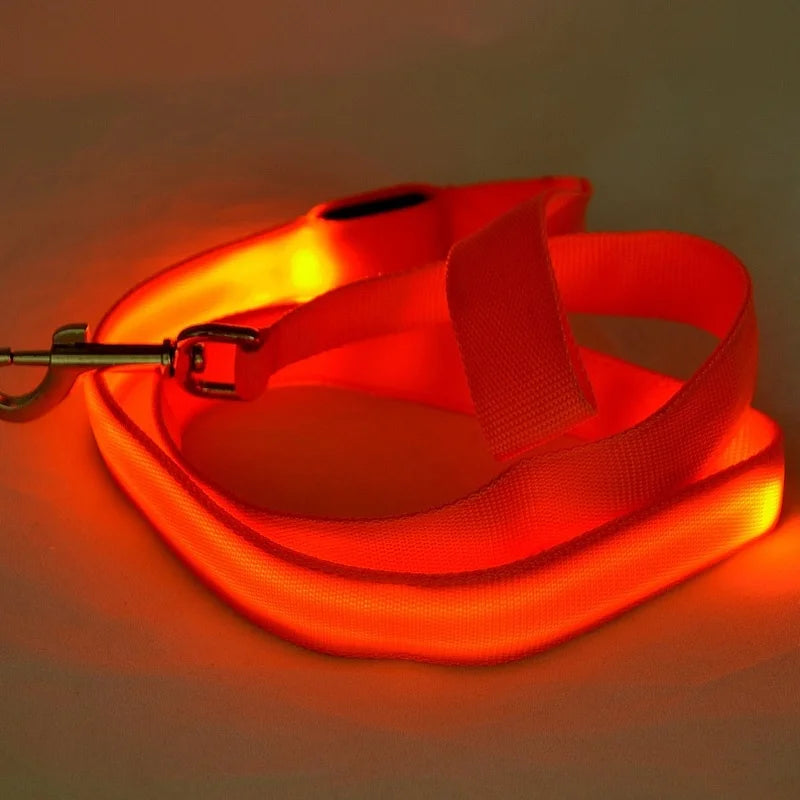 YTYINCN LED Light Up Dog Leash For Safety And Visibility