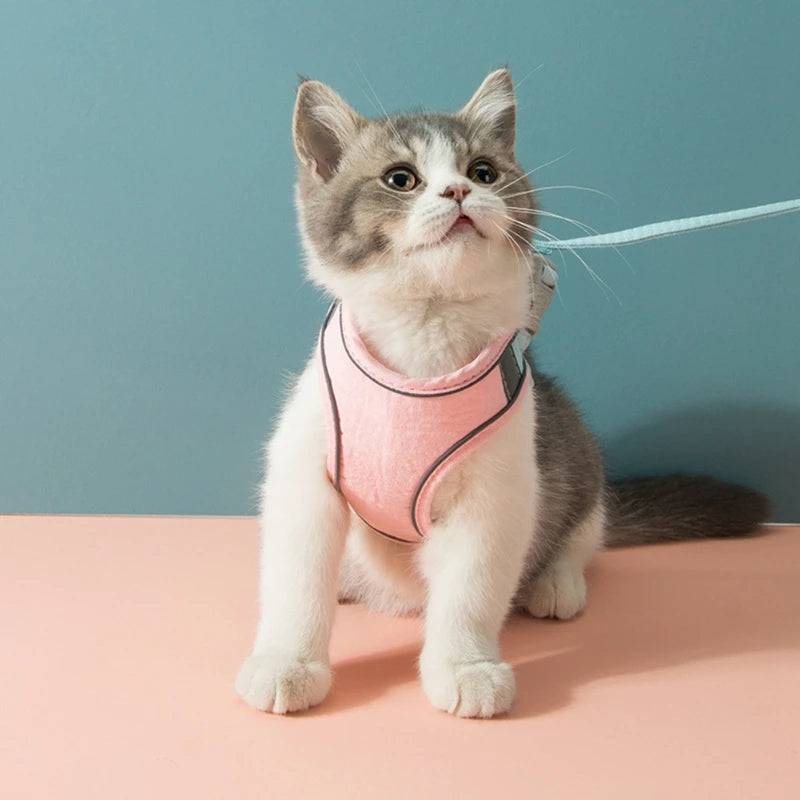 Feature Cat Harness Leash Set Reflective Strip For Cats Dogs