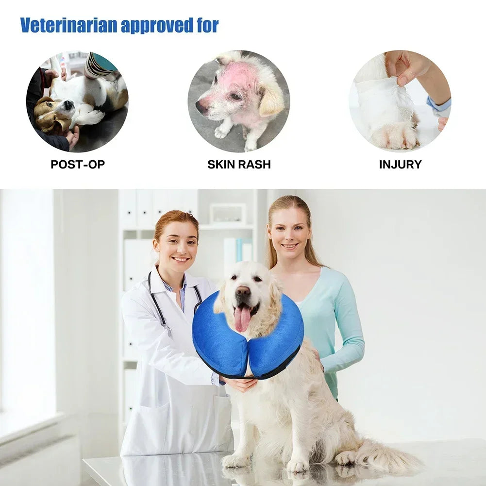 CN Guangdong Inflatable Recovery Pet Collar For Dogs Cats