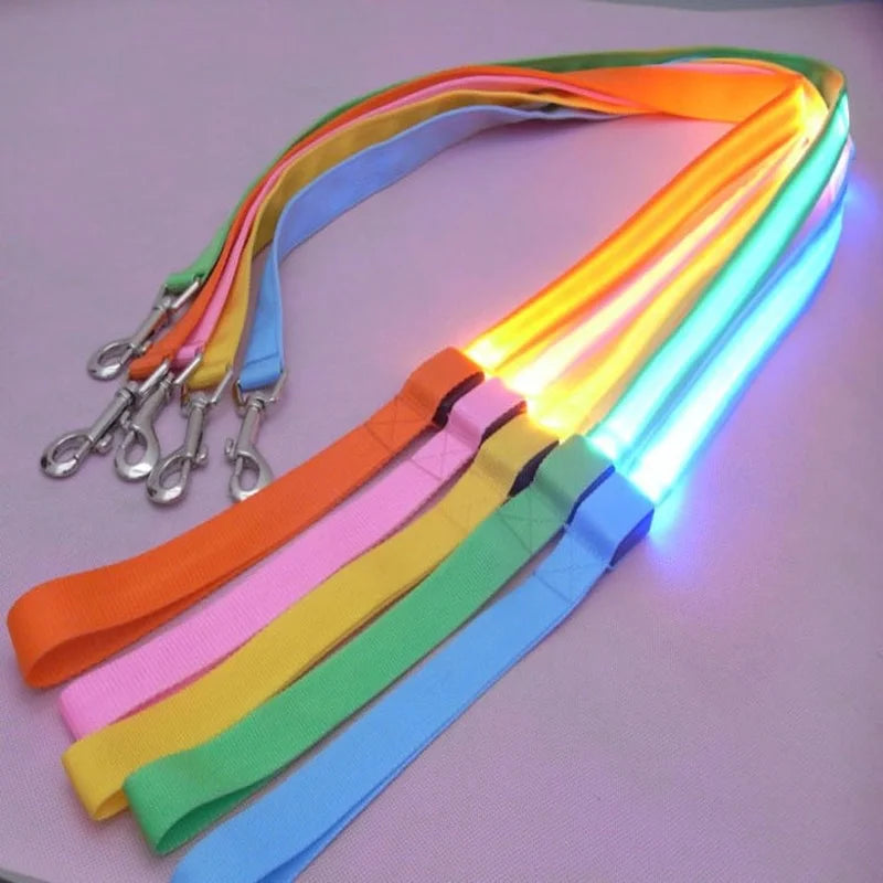 YTYINCN LED Light Up Dog Leash For Safety And Visibility