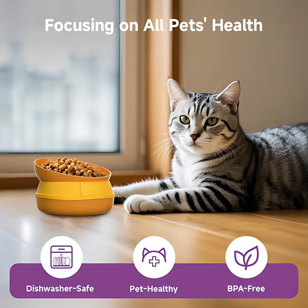 5-In-1 Burger Pet Bowls Set With Tilted And Elevated Bowls