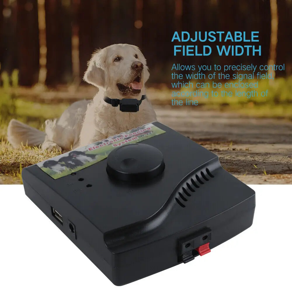 Guangdong CN Electric Dog Fence System With Waterproof Collar