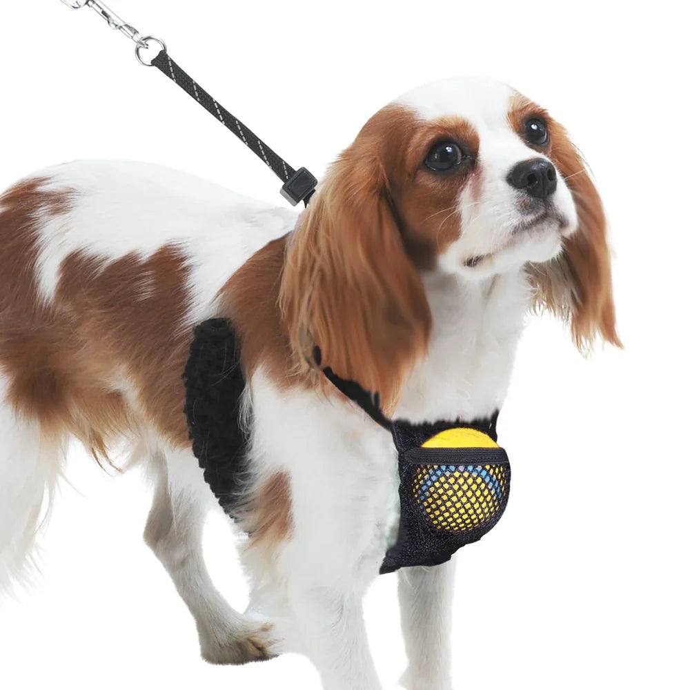 Fujian Reflective Non-Pulling Dog Harness With Storage Pouch