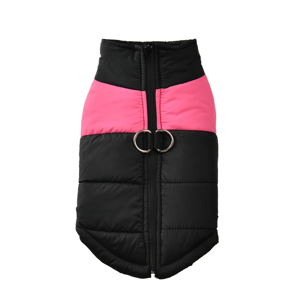 Guangdong Pet Dog Winter Jacket Windproof Waterproof Coat
