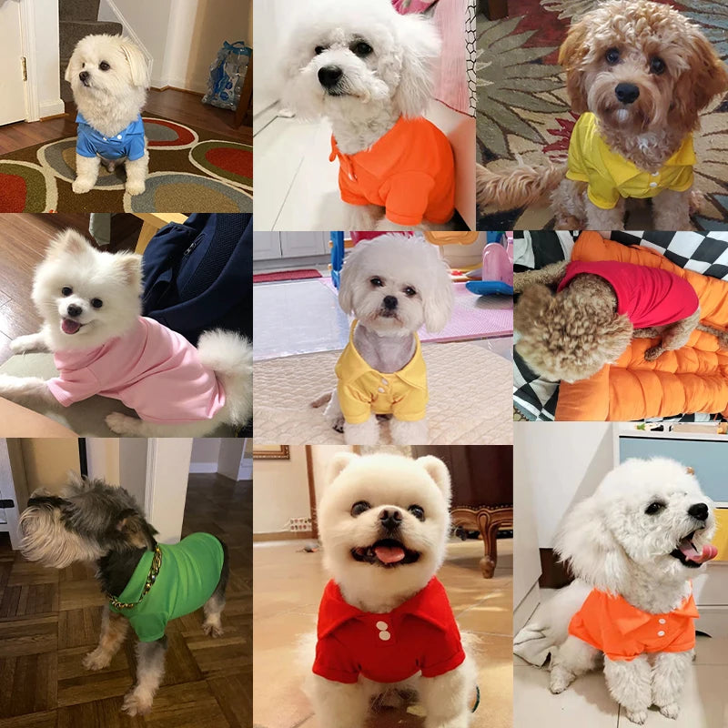 Doggyzstyle Spring Polo Dog Shirts Breathable Vest