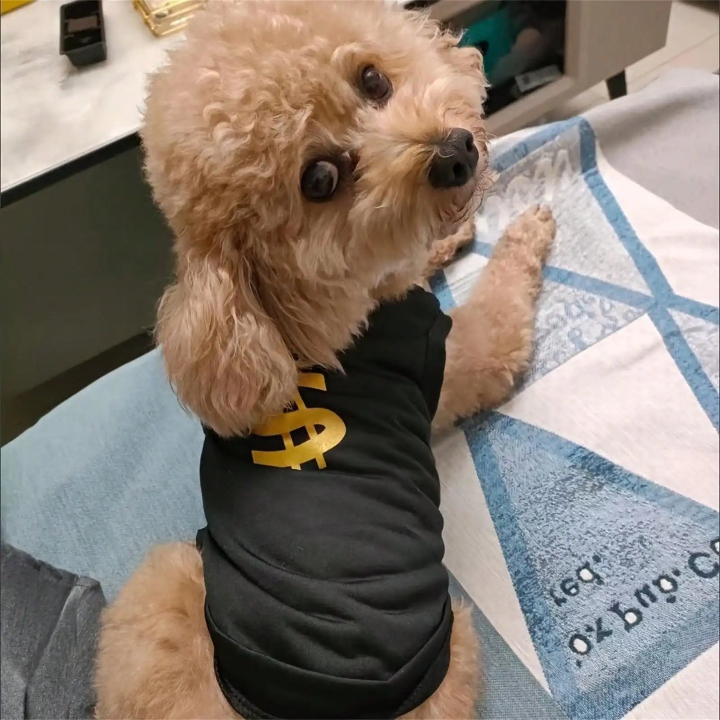 NONECN Pet Dogs Summer T Shirt Breathable Mesh Vest Hip Hop Costume