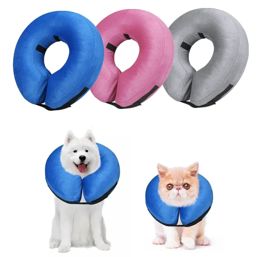 CN Guangdong Inflatable Recovery Pet Collar For Dogs Cats