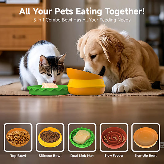 5-In-1 Burger Pet Bowls Set With Tilted And Elevated Bowls