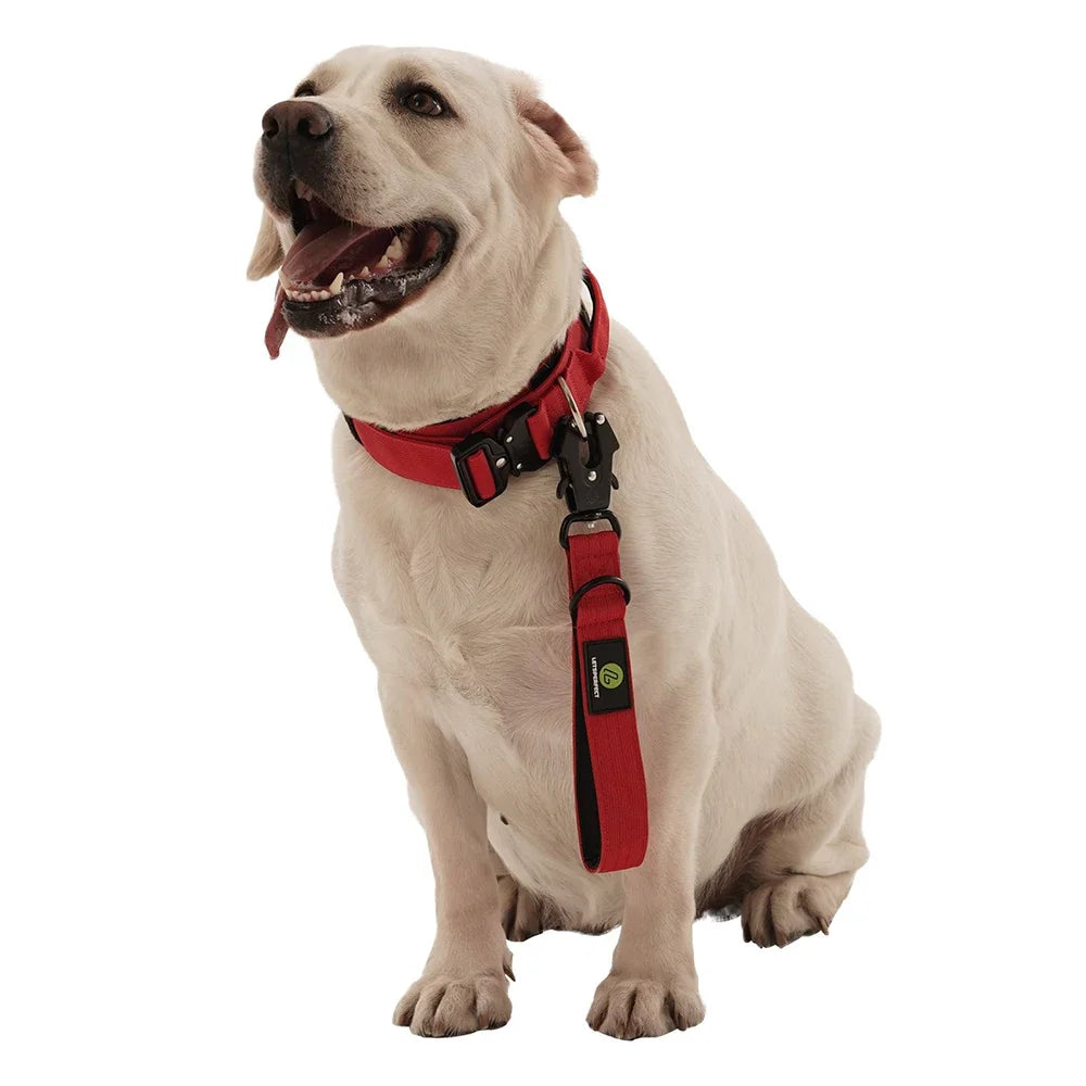 IPETPERIOD Traffic Dog Leash With Padded Handle Nylon Lead