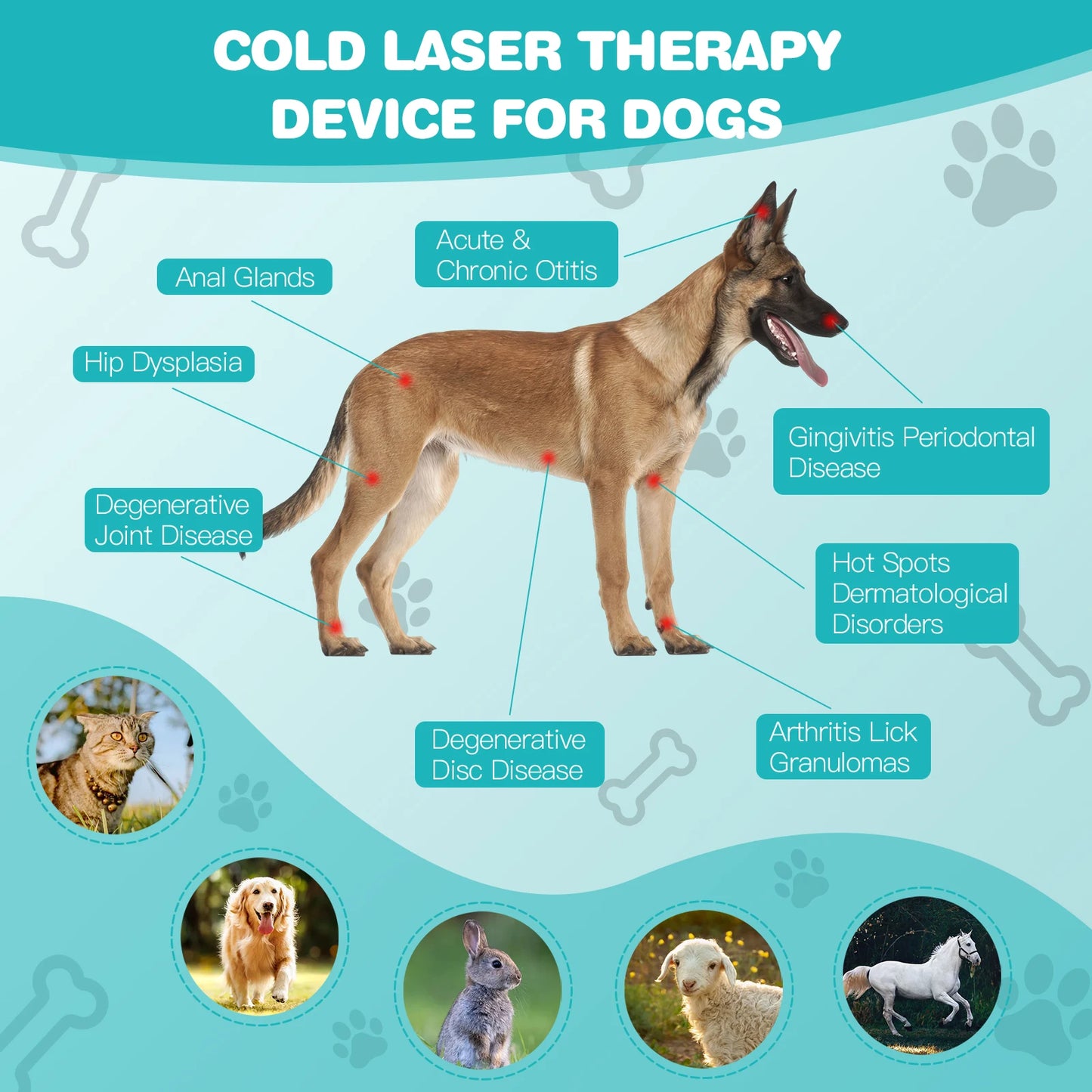 Laser Therapy for Dogs Portable Red Light Therapy Device