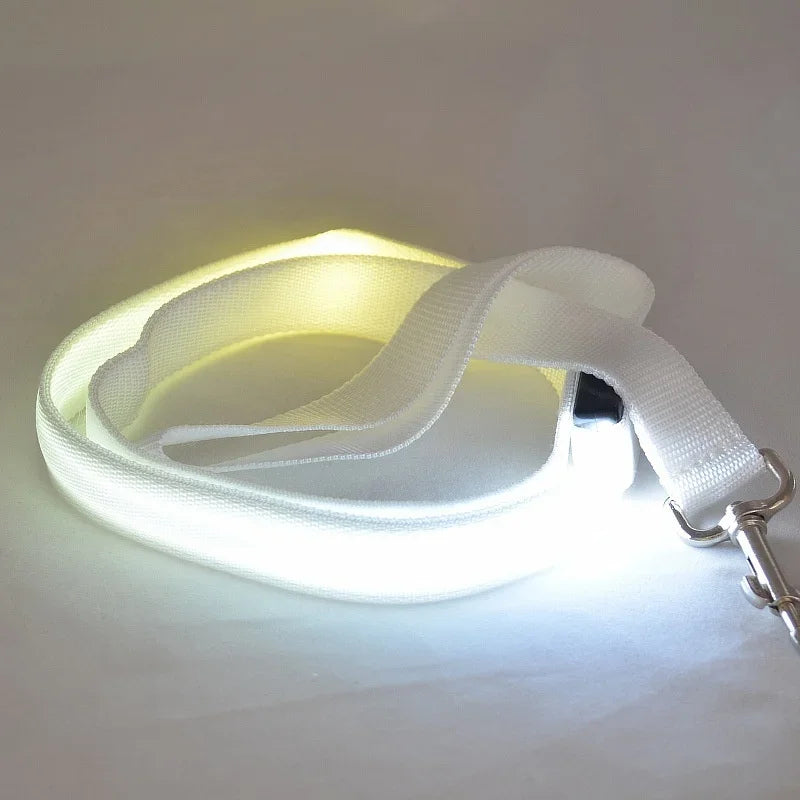 YTYINCN LED Light Up Dog Leash For Safety And Visibility