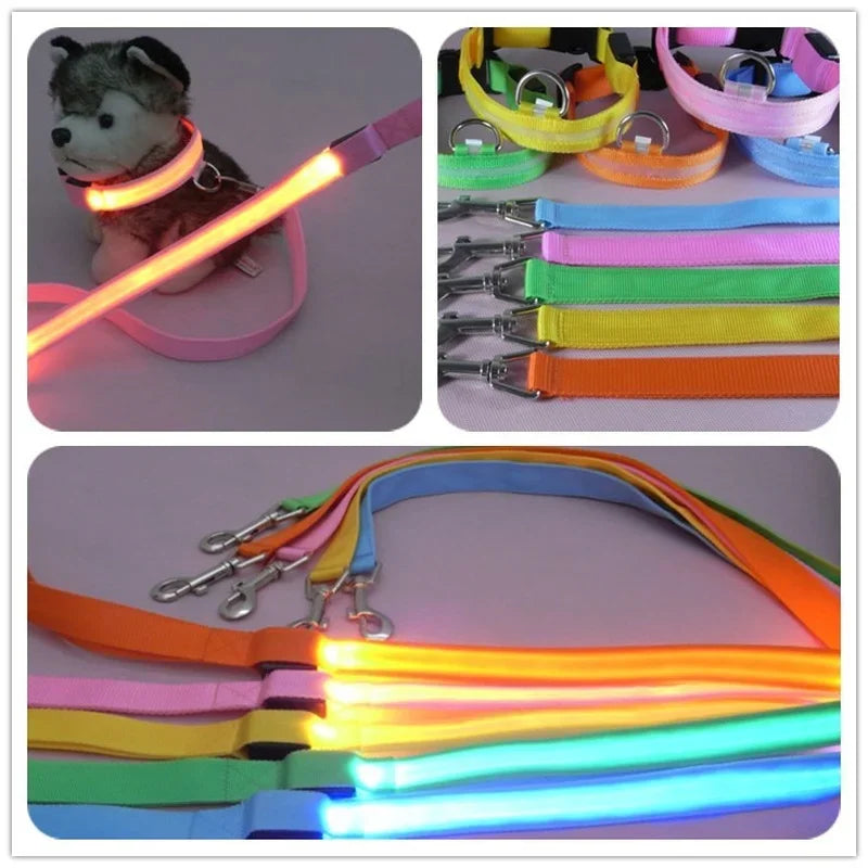 YTYINCN LED Light Up Dog Leash For Safety And Visibility