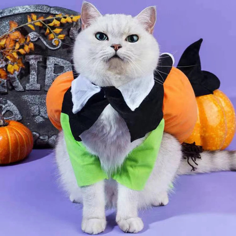 Guangdong Pet Dog Halloween Cosplay Leotard Costume
