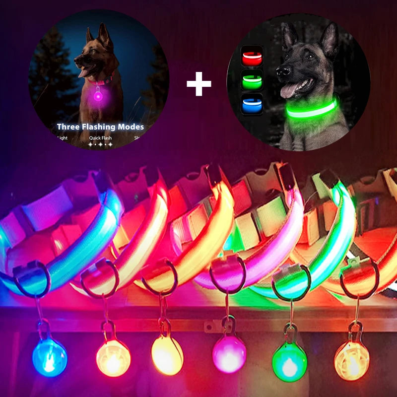 NONECN USB Charging Glowing Dog Collar With Pendant LED
