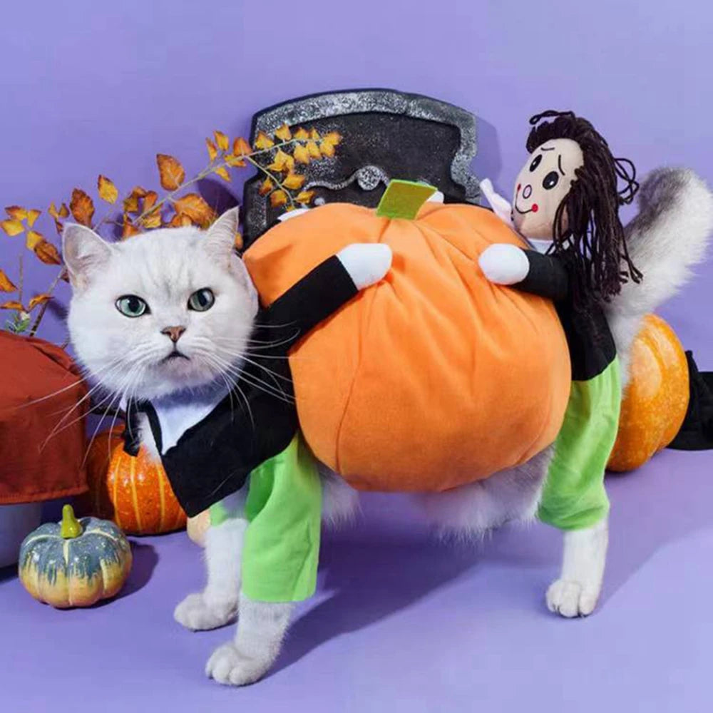 Guangdong Pet Dog Halloween Cosplay Leotard Costume