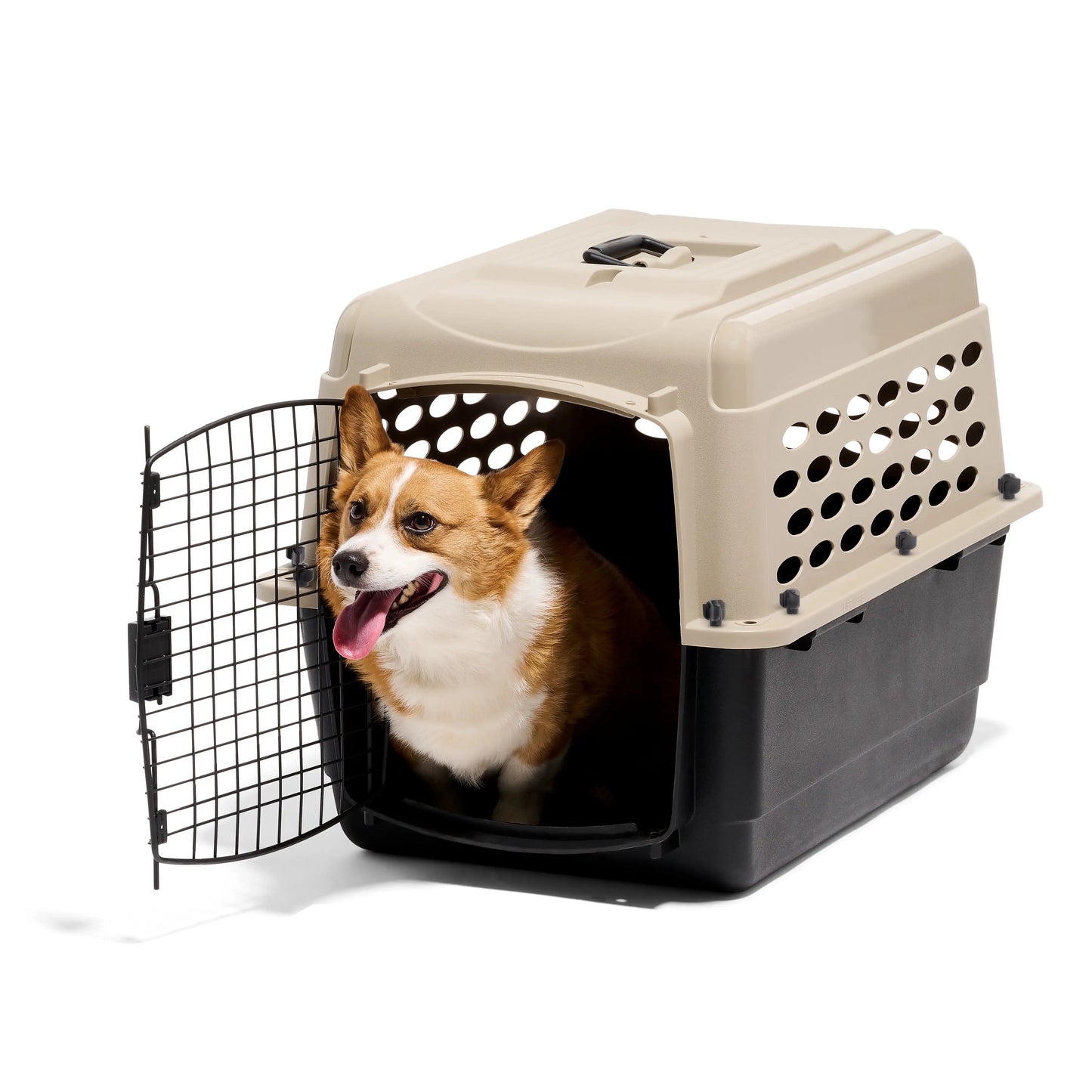 Plastic Dog Kennel Airline Approved Portable Pet Carrier