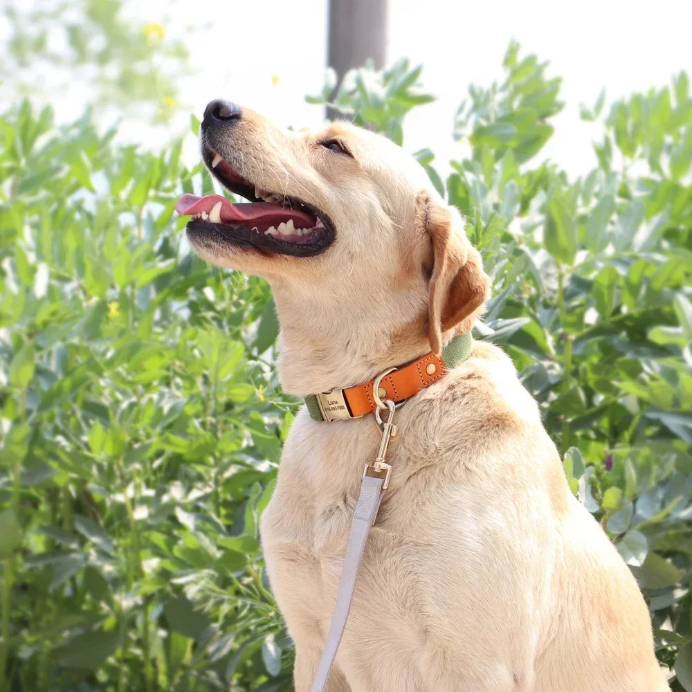 PET ARTIST Nylon Custom Dog Collar Leash With Personalized IDTag