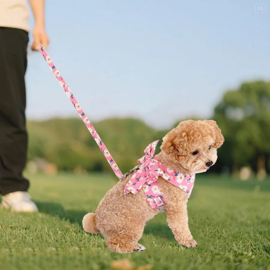 Adjustable Dog Harness And Leash Set Mesh Vest Bow Knot