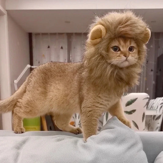 Guizhou Lion Mane Pet Hat for Dogs and Cats Costume