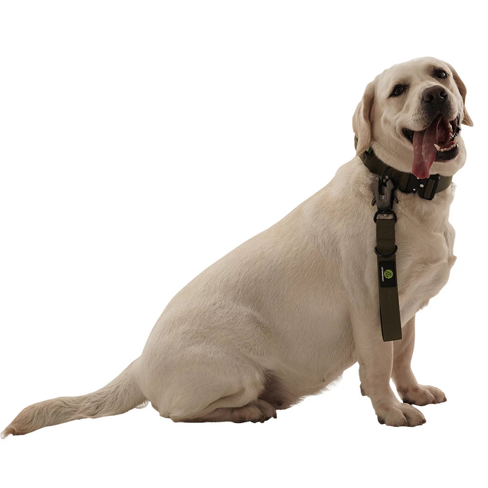 IPETPERIOD Traffic Dog Leash With Padded Handle Nylon Lead