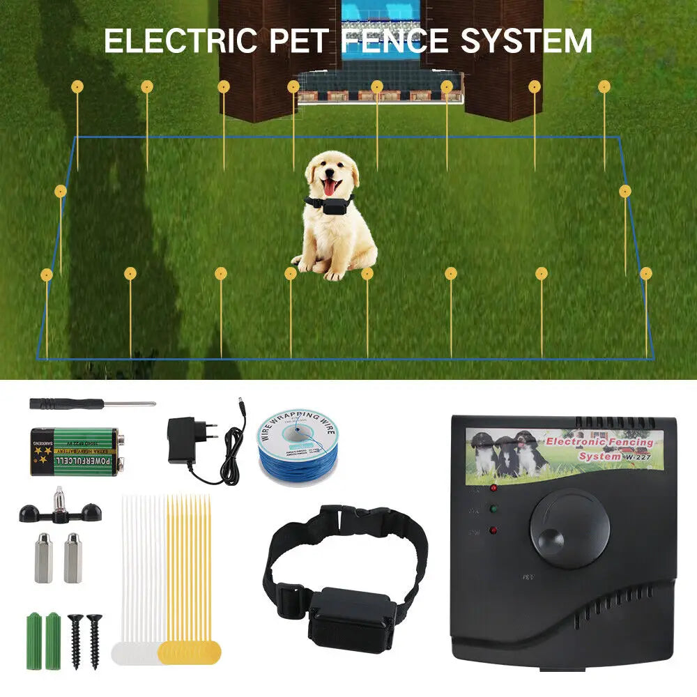 Guangdong CN Electric Dog Fence System With Waterproof Collar