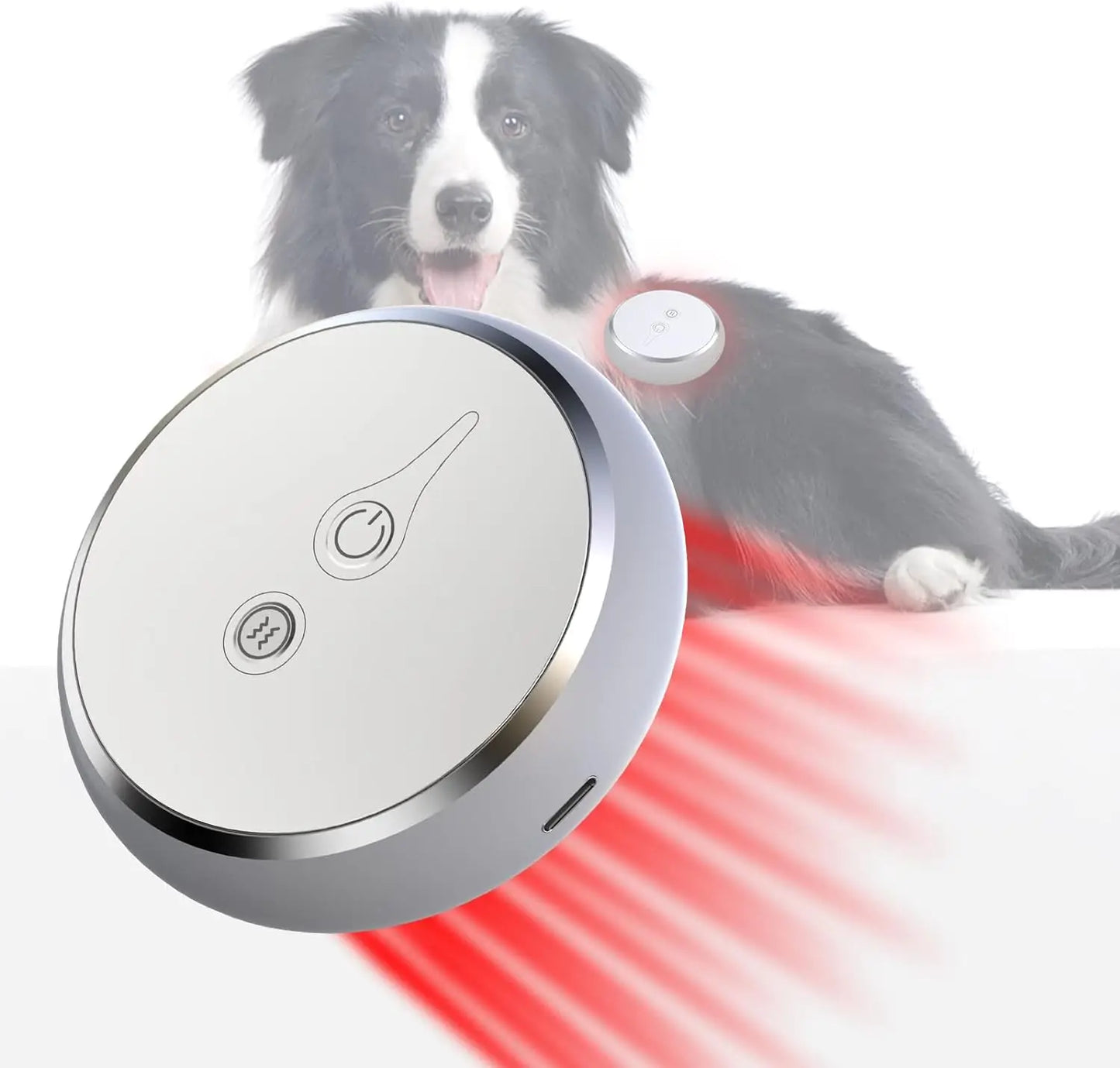 Portable Pet Red Light Therapy Device 660nm And 810nm Wavelengths