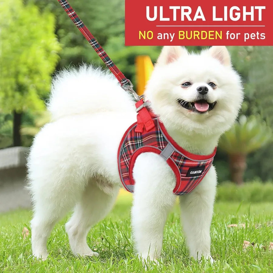 Small Animal Harness And Leash Set With Soft Mesh Vest