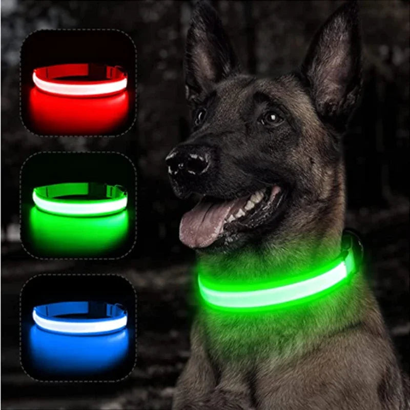 NONECN USB Charging Glowing Dog Collar With Pendant LED