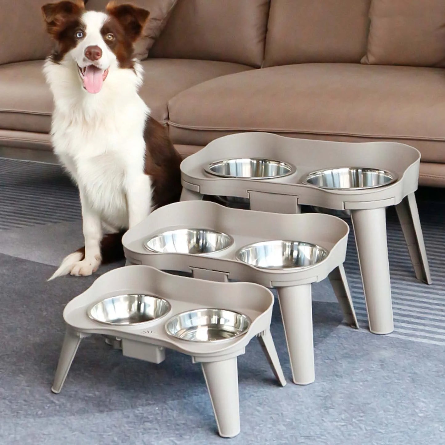 Elevated Stainless Steel Dog Feeder Non-Slip No Spill Design