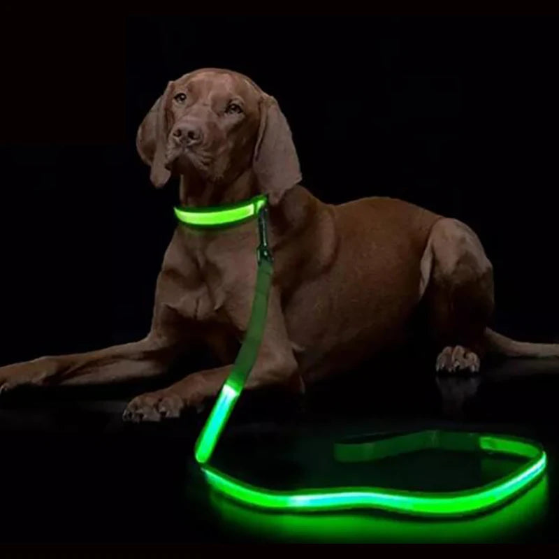 YTYINCN LED Light Up Dog Leash For Safety And Visibility
