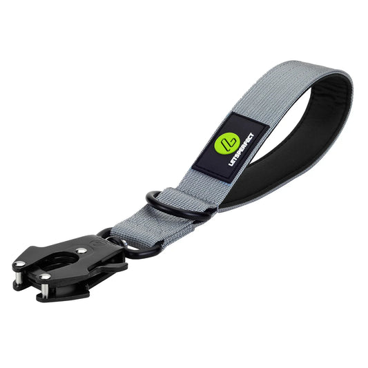 IPETPERIOD Traffic Dog Leash With Padded Handle Nylon Lead