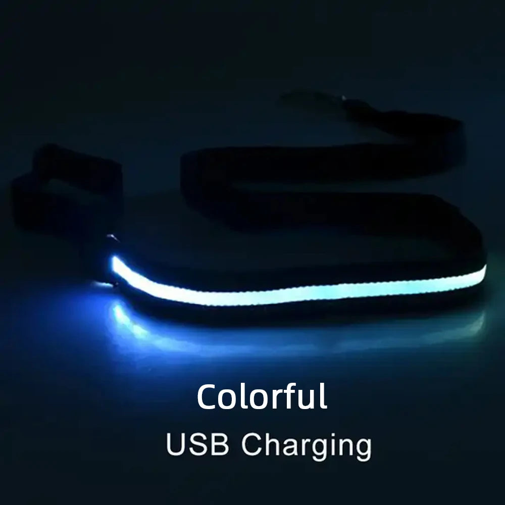 YTYINCN LED Light Up Dog Leash For Safety And Visibility