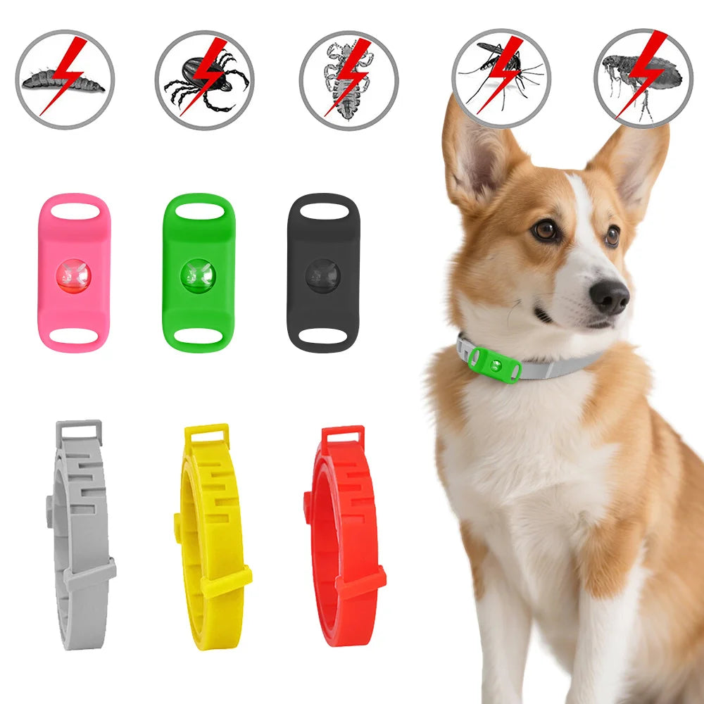 Guangdong Pet Anti Flea And Tick Collar Pendant Oils