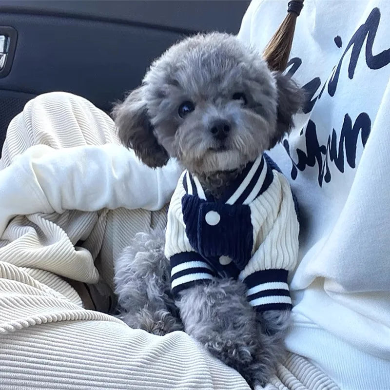 Guangdong Cute Embroidered Pet Baseball Jacket For Dogs Cats