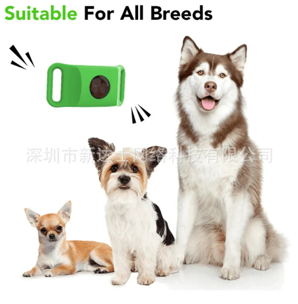 Guangdong Pet Anti Flea And Tick Collar Pendant Oils
