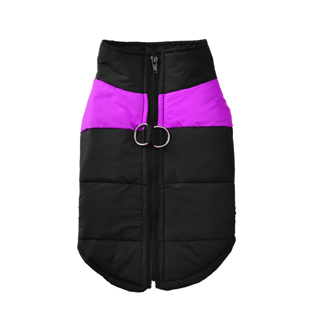 Guangdong Pet Dog Winter Jacket Windproof Waterproof Coat