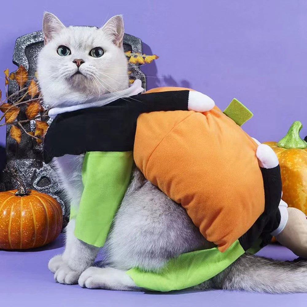 Guangdong Pet Dog Halloween Cosplay Leotard Costume